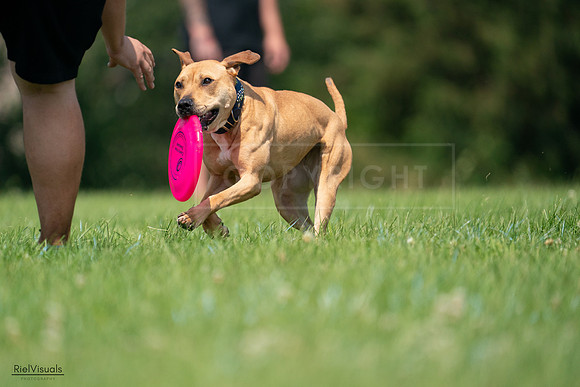 RielVisuals_20240727_115234_SJR04176