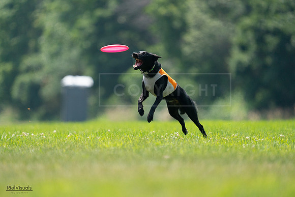 RielVisuals_20240727_130541_SJR06837