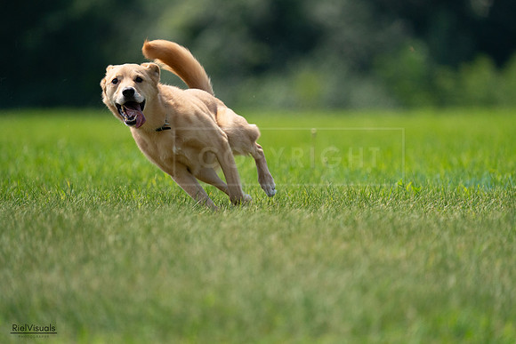 RielVisuals_20240727_120047_SJR04531