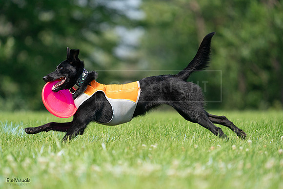 RielVisuals_20240727_115435_SJR04262