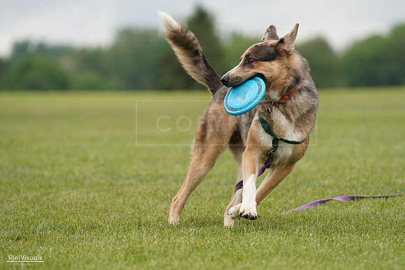 RielVisuals_20240527_133355_SJR00248