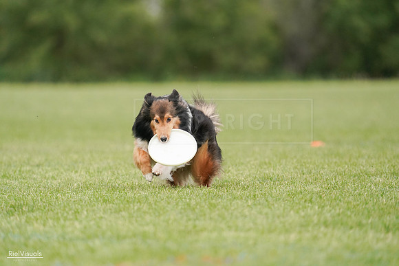 RielVisuals_20240527_140907_SJR01596