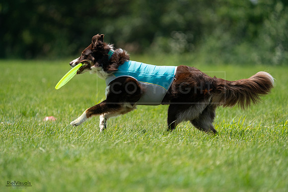 RielVisuals_20240728_132621_SJR06228
