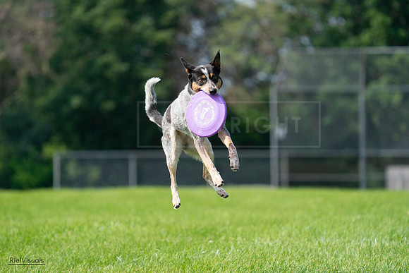 RielVisuals_20240728_103225_SJR08424