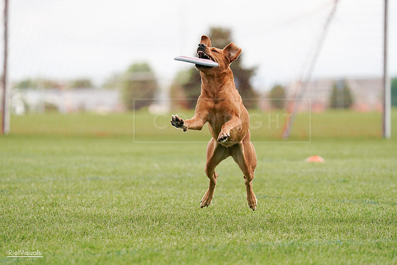 RielVisuals_20240527_141102_SJR01765