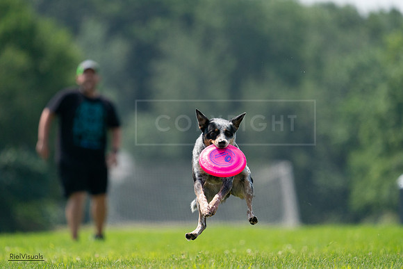 RielVisuals_20240727_120240_SJR04596