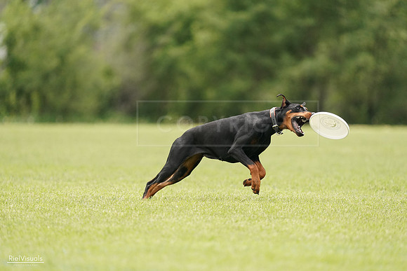 RielVisuals_20240527_134120_SJR00929