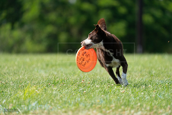 RielVisuals_20240728_152030_SJR00629