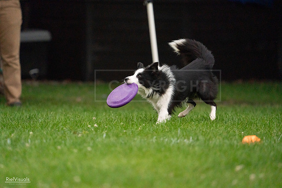 RielVisuals_20240722_194517_SJR02021
