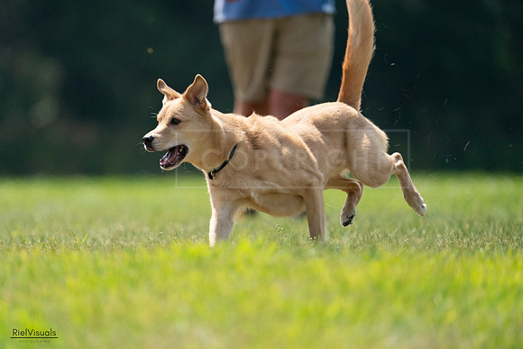 RielVisuals_20240727_120029_SJR04483