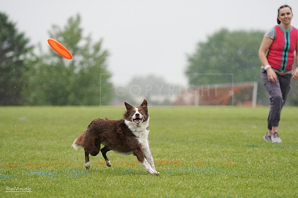 RielVisuals_20240527_104358_SJR01399
