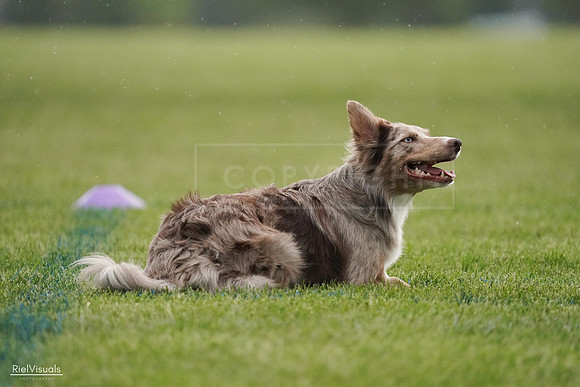 RielVisuals_20240526_092536_SJR09962