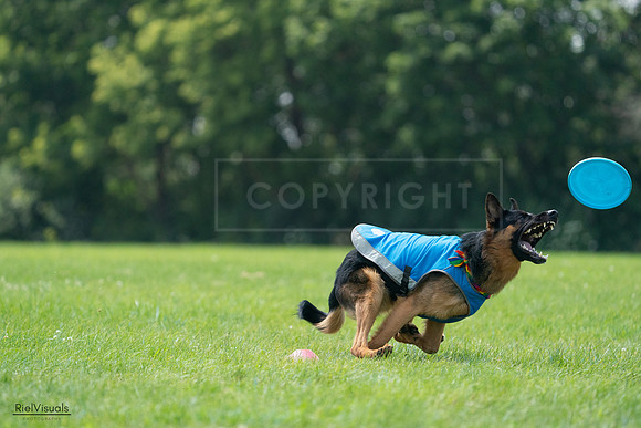 RielVisuals_20240728_135214_SJR07336