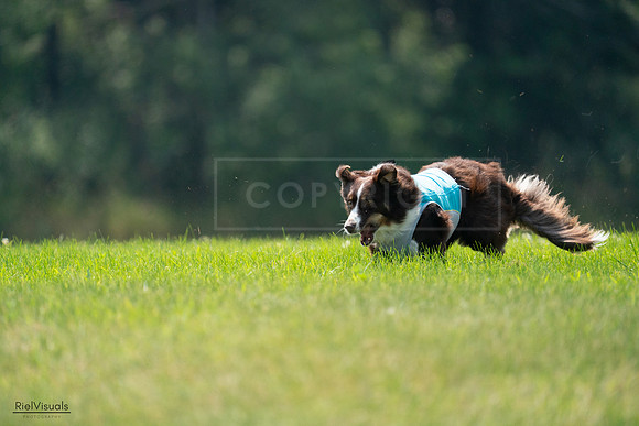 RielVisuals_20240727_120450_SJR04696