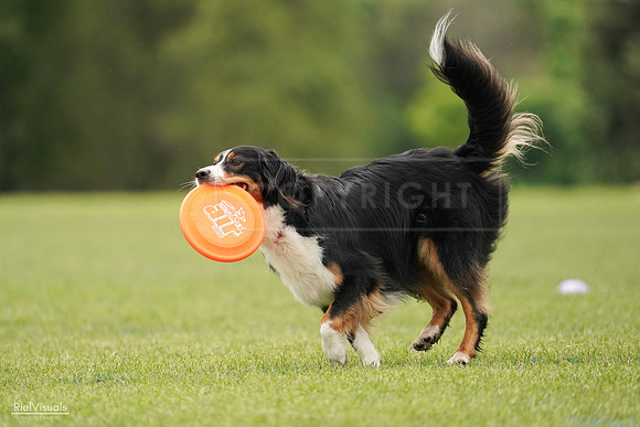 RielVisuals_20240527_132735_SJR09868