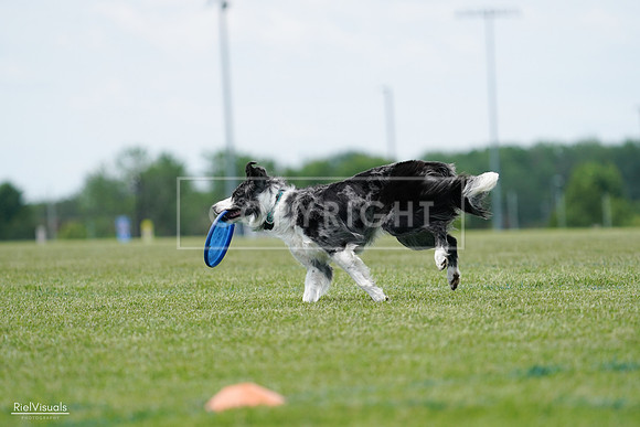 RielVisuals_20240525_124406_SJR01057