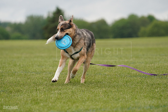 RielVisuals_20240527_133354_SJR00240