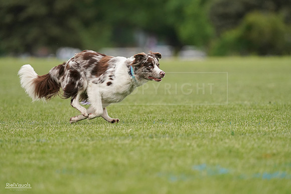 RielVisuals_20240526_110135_SJR00176