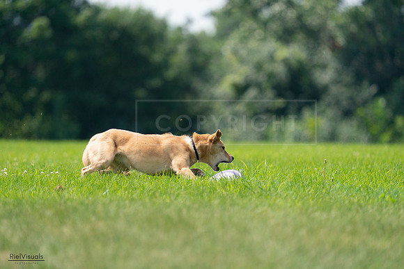RielVisuals_20240727_115958_SJR04441