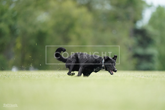 RielVisuals_20240525_160708_SJR03494