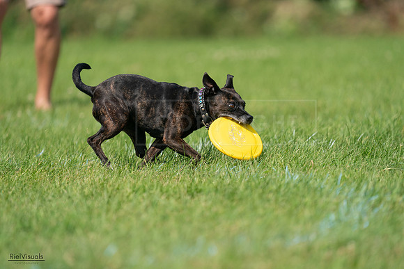 RielVisuals_20240728_103837_SJR08762