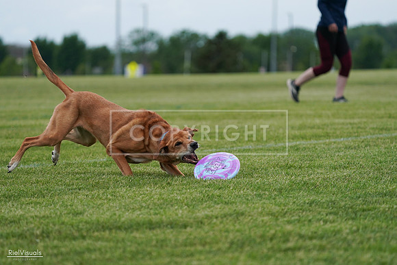 RielVisuals_20240525_161756_SJR03980