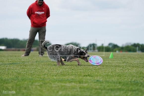 RielVisuals_20240525_125157_SJR01419