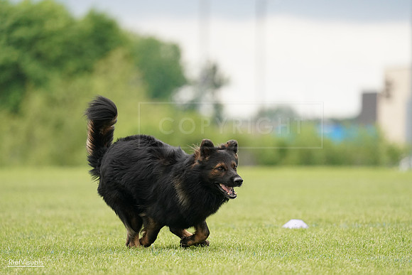 RielVisuals_20240527_132927_SJR09973