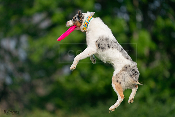 RielVisuals_20240727_092246_SJR06123