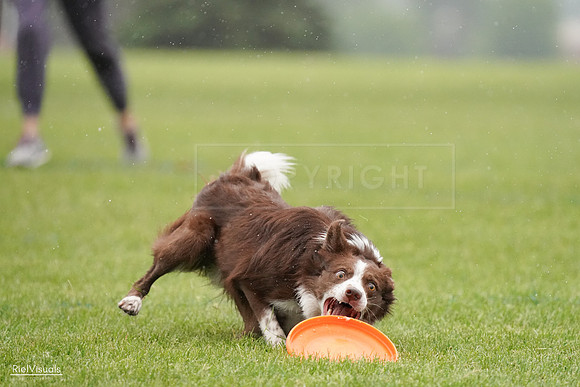 RielVisuals_20240527_104358_SJR01414