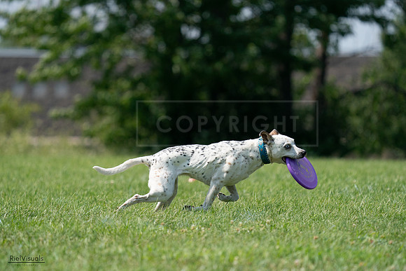 RielVisuals_20240728_144214_SJR08940