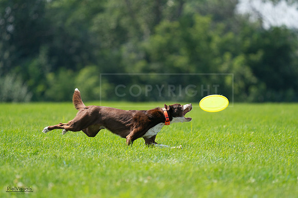 RielVisuals_20240727_125114_SJR06229