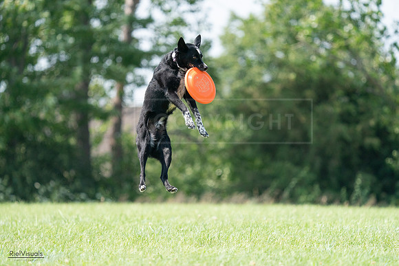 RielVisuals_20240728_143733_SJR08715