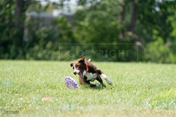 RielVisuals_20240728_144915_SJR09245