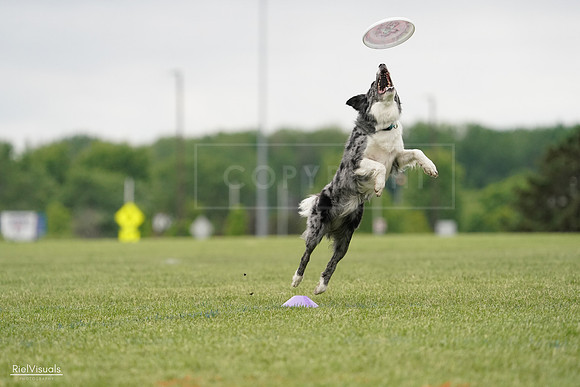 RielVisuals_20240526_133218_SJR08141