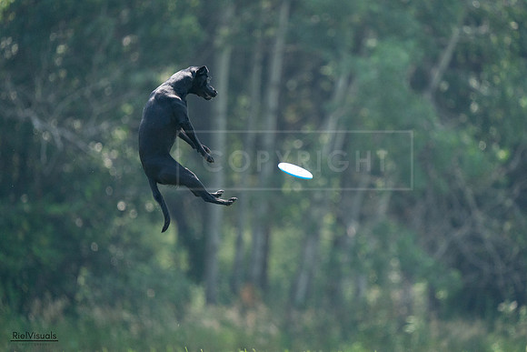 RielVisuals_20240727_122731_SJR05598