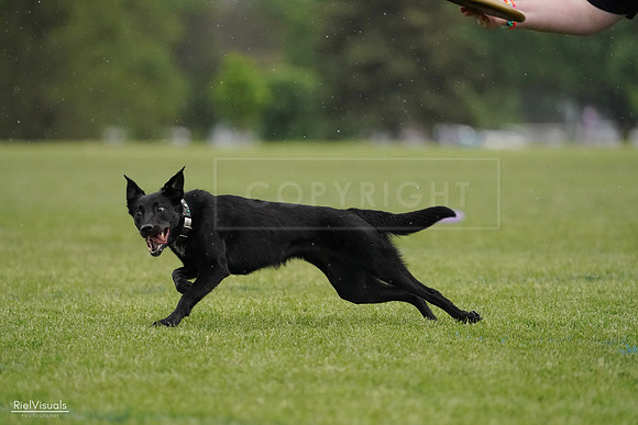 RielVisuals_20240526_092337_SJR09912