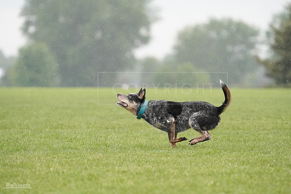 RielVisuals_20240527_105131_SJR01936