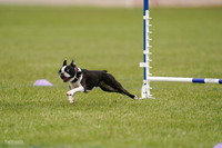 RielVisuals_20240527_142648_SJR02806