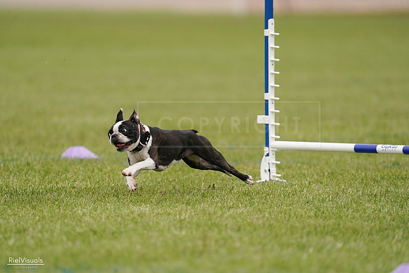 RielVisuals_20240527_142648_SJR02806