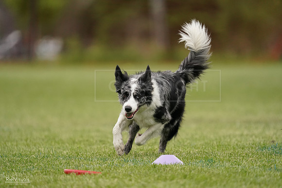 RielVisuals_20240526_133315_SJR08195