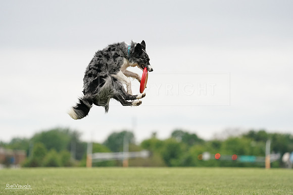 RielVisuals_20240526_133237_SJR08171