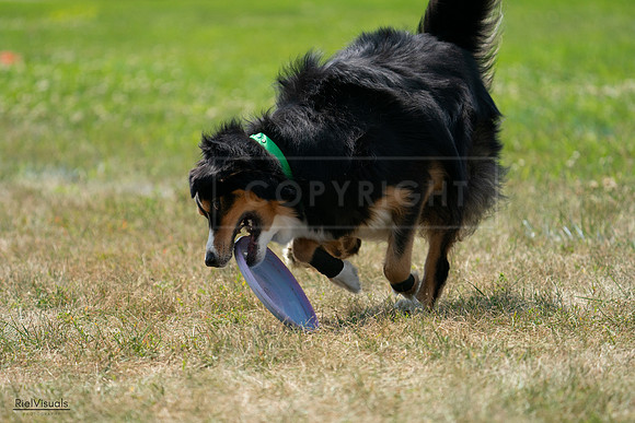 RielVisuals_20240728_131625_SJR05589