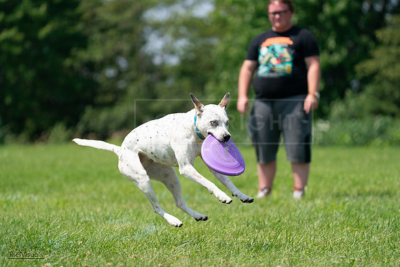 RielVisuals_20240728_120603_SJR02906