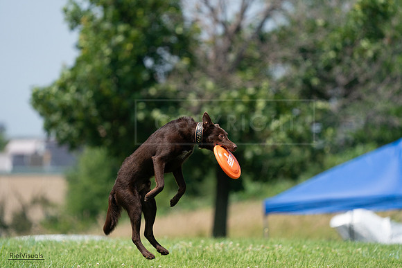 RielVisuals_20240727_133513_SJR07776