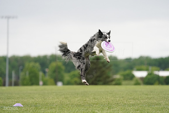 RielVisuals_20240526_133219_SJR08147
