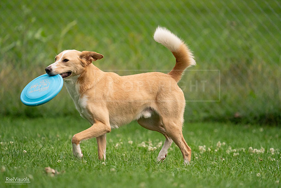 RielVisuals_20240722_191313_SJR00291