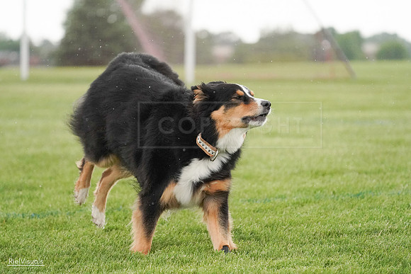 RielVisuals_20240526_094619_SJR00994