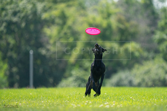 RielVisuals_20240727_131016_SJR07055