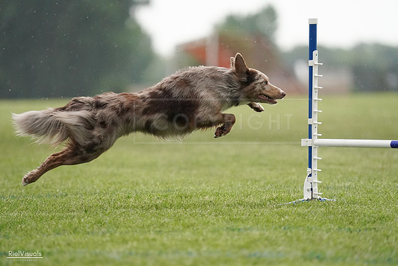 RielVisuals_20240526_092639_SJR00064